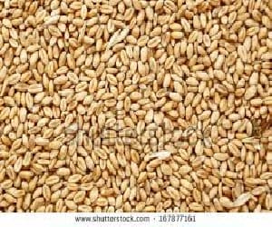 Wheat gluten protein difficulties giving